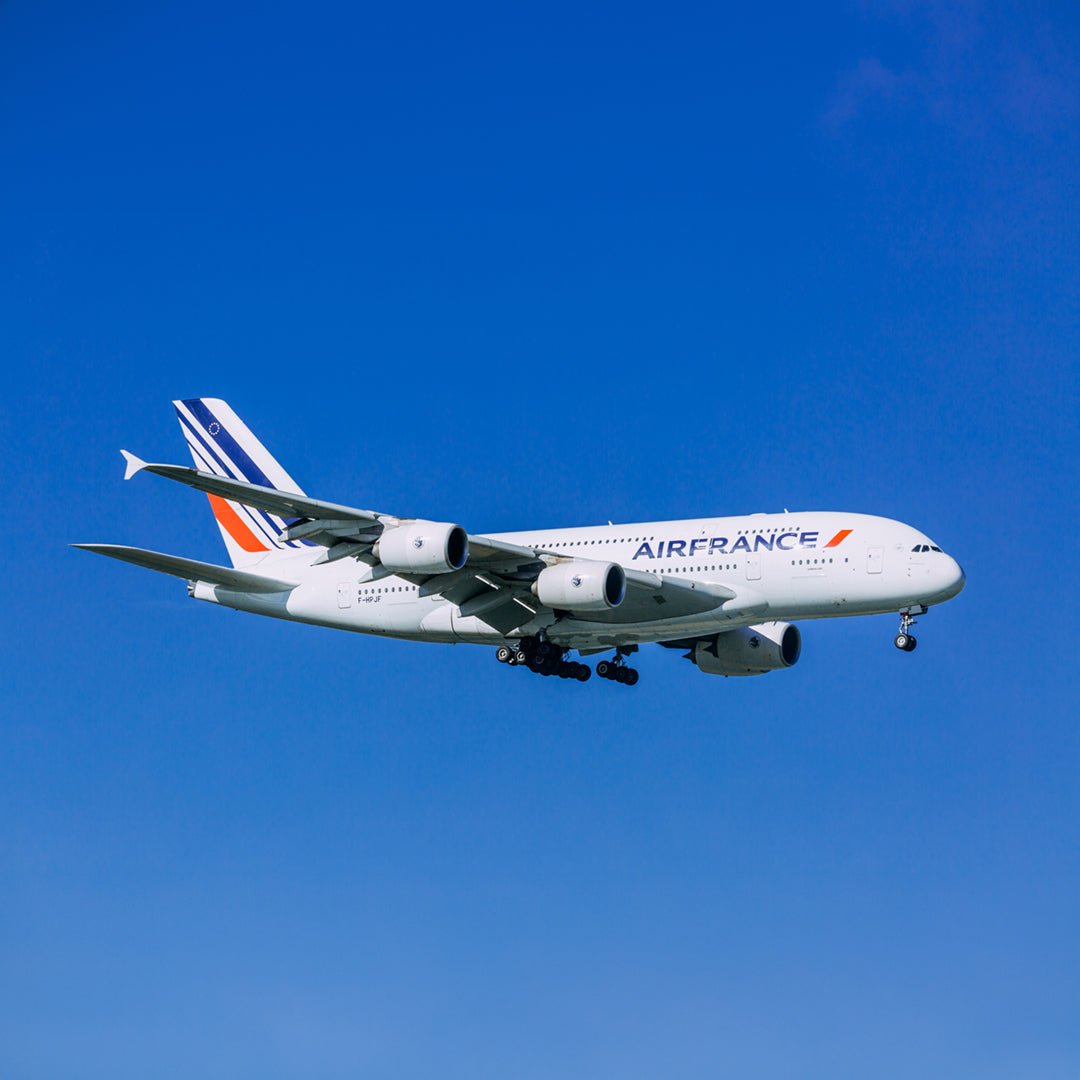 ゴ*ゴ様 (新品未使用)Aviationtag エールフランス航空 A380 F エール