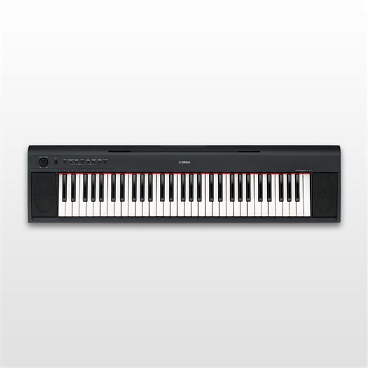 NP-11 - Overview - Piaggero - Keyboard Instruments - Musical