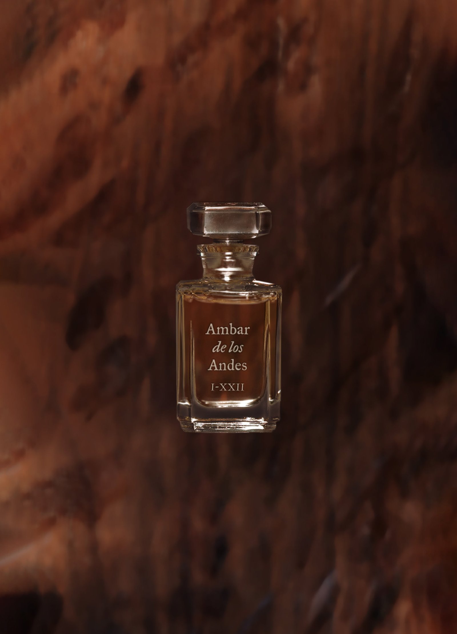 FUEGUIA 1833 | Ámbar de los Andes｜アンバル デ ロス アンデス
