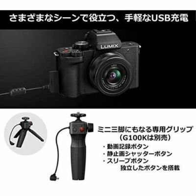 Panasonic Mirrorless SLR Camera LUMIX G100V Black Zoom Lens Kit | eBay