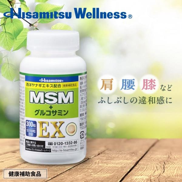 hisamitsukenkou_4987188317983
