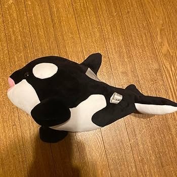 Amazon.co.jp: 神戸須磨シーワールド オルカくじ 3等シャチぬいぐるみ