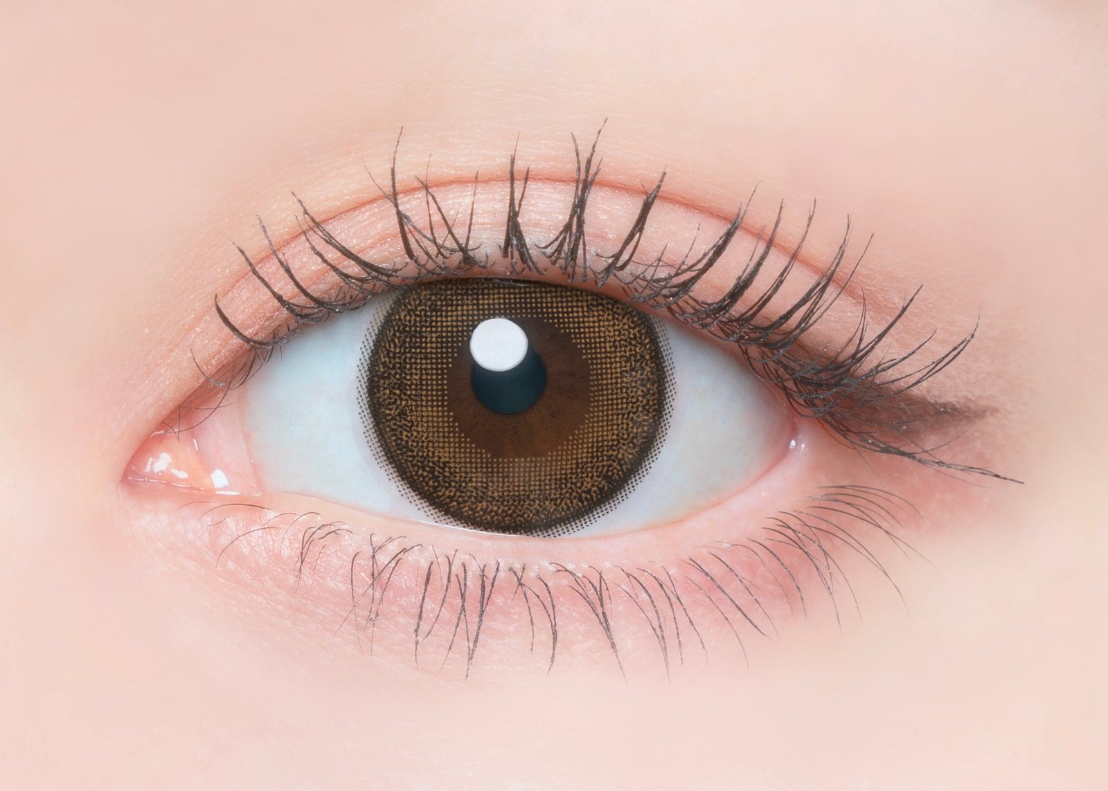 メープルシフォン [FLANMY] | 1dayカラコン - DIA 14.5mm | Push!Color