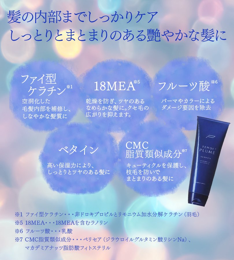 テモイ プルームシャンプー 300ml ヘアマスク 250g セット 美容 美髪