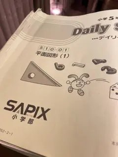 2026年最新】サピックス 5年 教材の人気アイテム - メルカリ