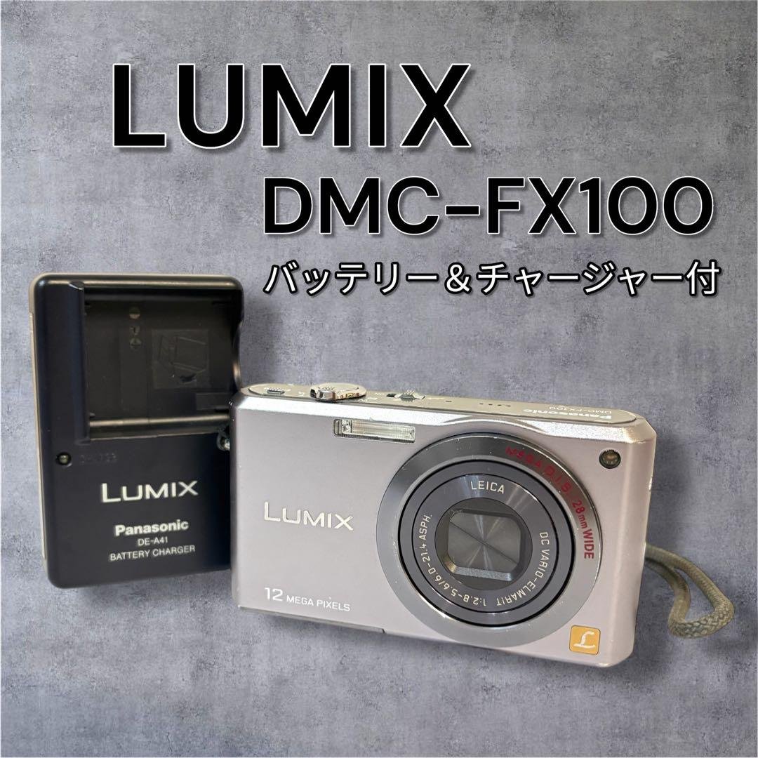Panasonic Lumix DMC-FX100 動作確認済み デジカメ Panasonic DMC-FX100 reviewed Digital Camera Review | ePHOTOzine